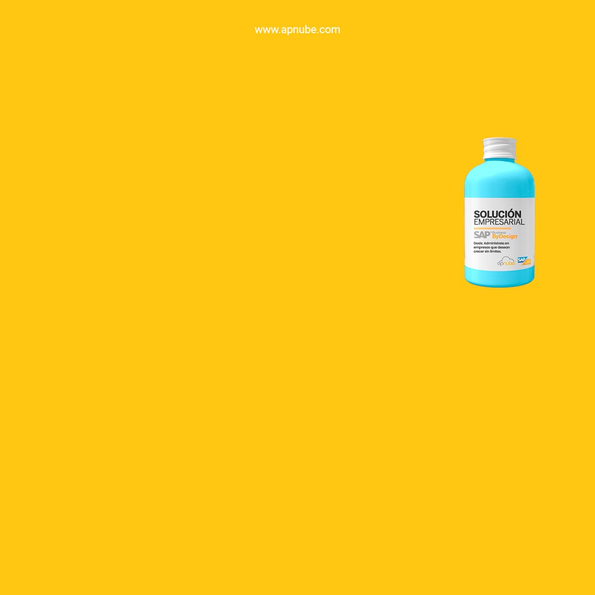 AP-Nube_Cotiza-SAP_detox-solo-3
