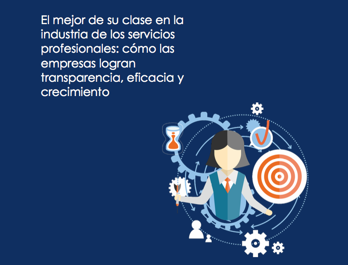 SAP-Business-ByDesign-Servicios-Profesionales_