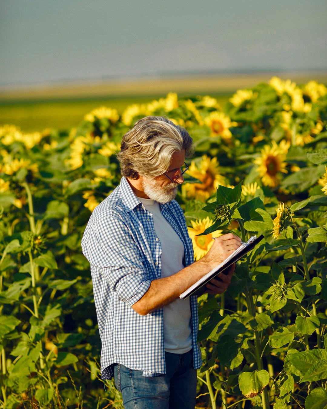 agronomia-floricultura-colombia-cadena-frio-exportacion-erp-sap-apnube-s4hana-business-one-netsuite