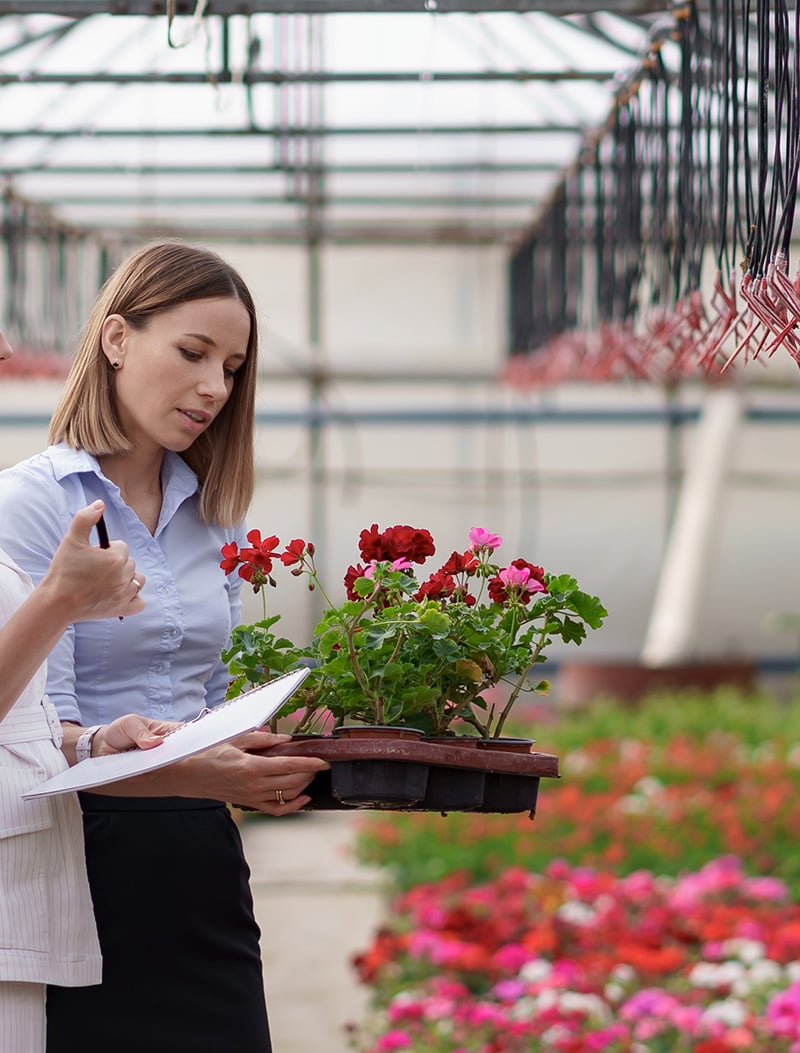 floricultores colombia sap apnube pruebalo gratis