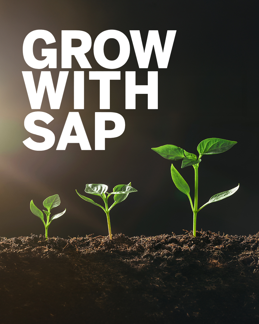 grow sap apnube business bydesign s4hana cloud migracion